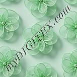Colour:C