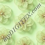 Colour:K