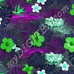 Colour:C