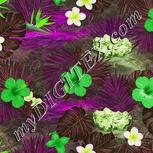 Colour:D