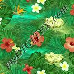 Colour:K