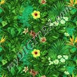 Colour:K