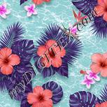 Colour:B
