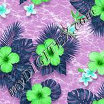 Colour:C