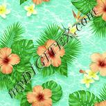 Colour:K