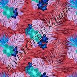 Colour:F