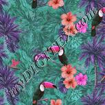 Colour:B