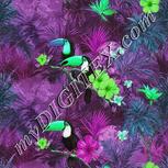 Colour:C