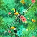 Colour:K