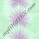 Colour:C