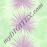 Colour:D