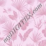 Colour:B