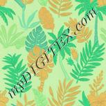 Colour:K