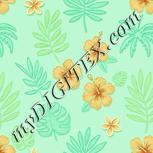 Colour:K