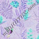 Colour:F
