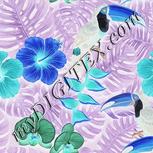 Colour:F