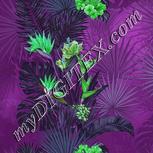 Colour:C