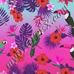 Colour:B