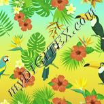 Colour:K