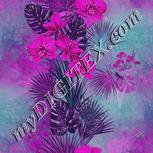 Colour:B