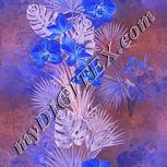 Colour:F