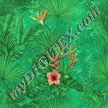 Colour:K