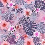 Colour:B