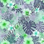 Colour:C