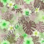 Colour:D