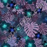 Colour:F