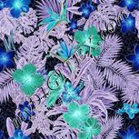 Colour:F