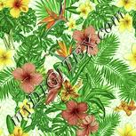 Colour:K
