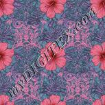 Colour:B