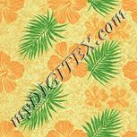 Colour:K