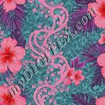 Colour:B