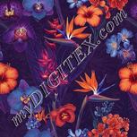 Colour:A