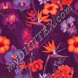 Colour:J