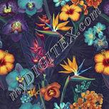 Colour:K