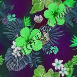 Colour:C