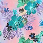 Colour:F