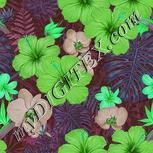 Colour:C