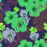 Colour:D