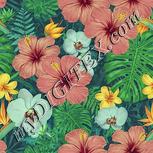 Colour:K