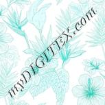 Colour:F