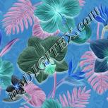 Colour:F