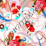 Colour:J
