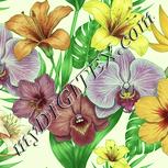 Colour:K