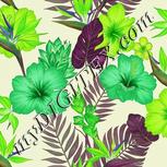 Colour:D