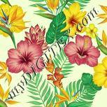 Colour:K