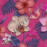 Colour:B